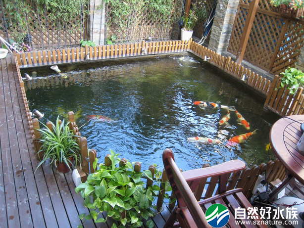 深圳园林锦鲤池专业设计与制作