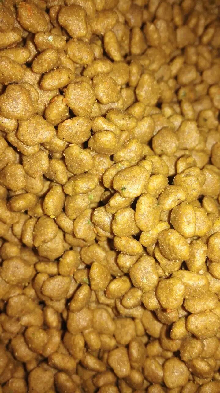 深圳哪里有专业的狗粮生产厂家?