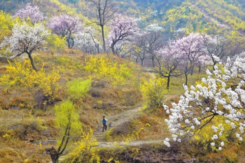 丰城铁路桃花谷照片图片