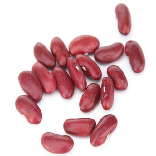 北京哪里蚕豆批发价格比较便宜