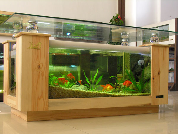 企业商讯  我们设计建造的酷鱼牌艺术鱼缸,基于当前最革命性的设计,并