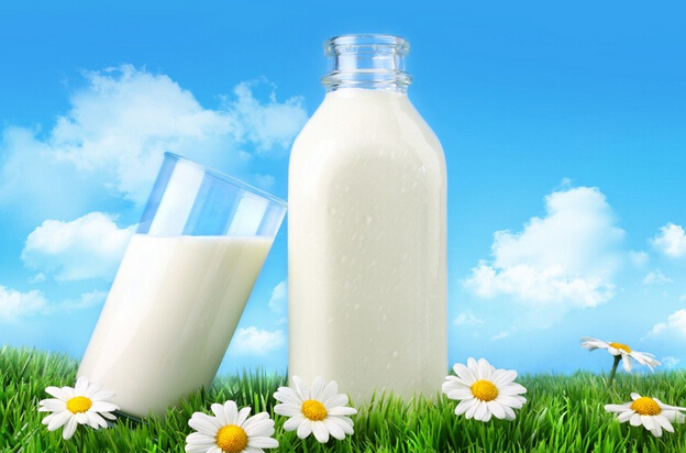 深圳哪里可以订购鲜羊奶?