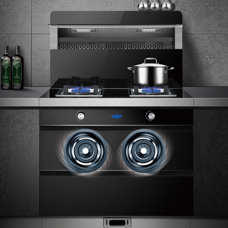 河北知名无烟集成灶厂家叫什么?