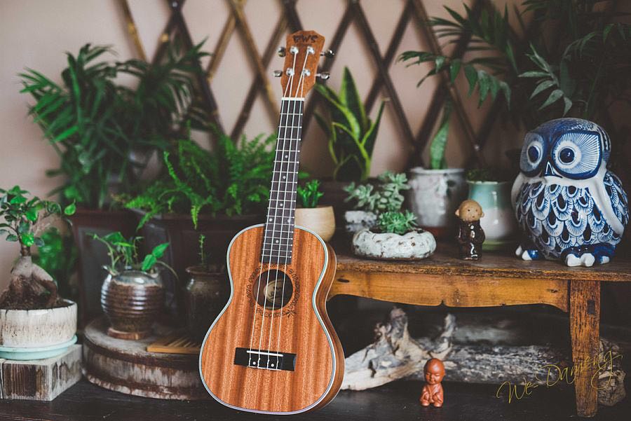 洪山尤克里里培训一对一培训