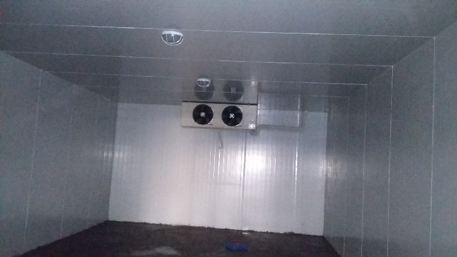 成都大型蔬菜冷藏室 水产冷冻室厂家哪家好