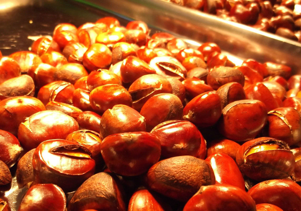 长沙炒货培训,哪有教糖炒板栗技术的?