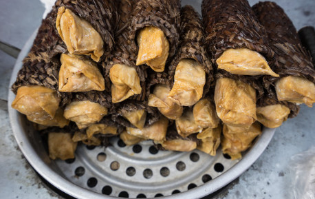 哪里教的香草肉做法技术硬味道好山西正宗香草肉培训班骨里香熟食配方