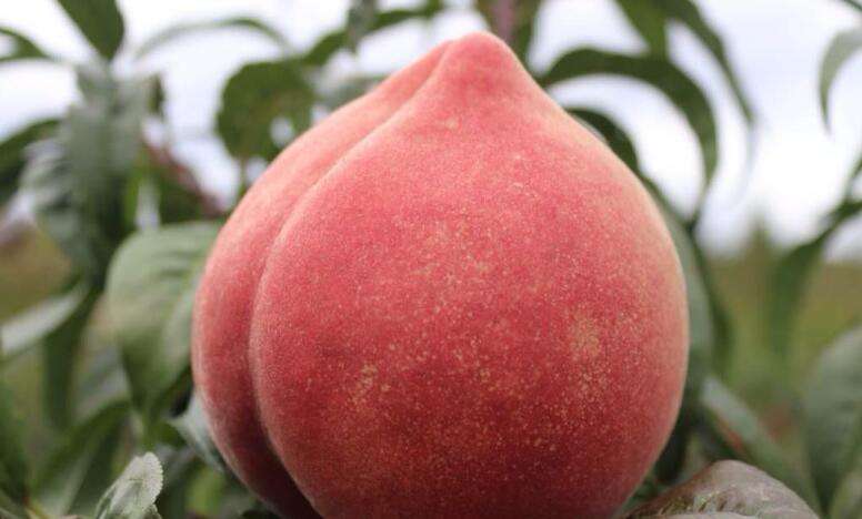 云南特产小零食上土大姐商城吃家乡的东西欢迎订购