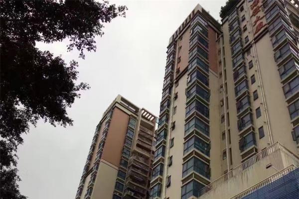 坂田海发大厦-全新时尚精装修-凭广告优惠1000