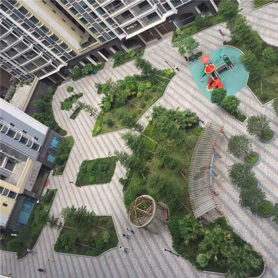 深圳紅星花園深圳最大村委統建樓16棟大型花園