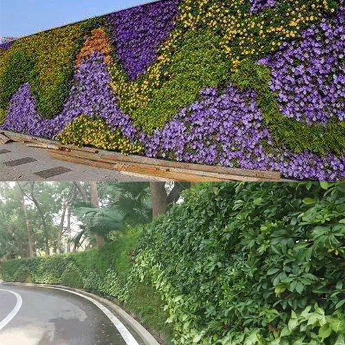 室外植物墙图片案例