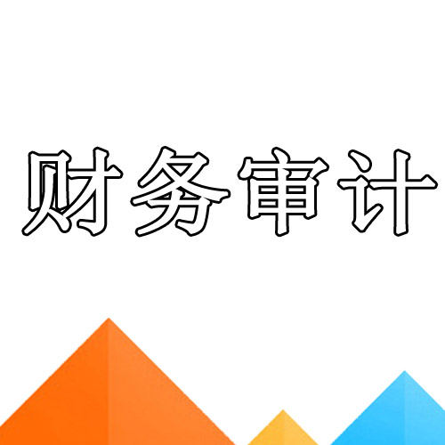 财务审计