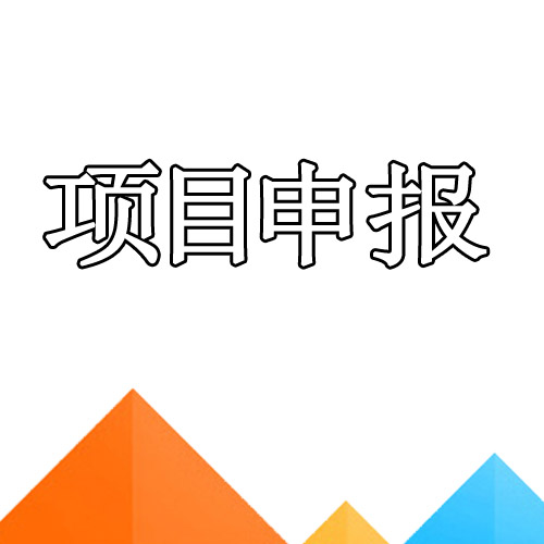 项目申报_新新网