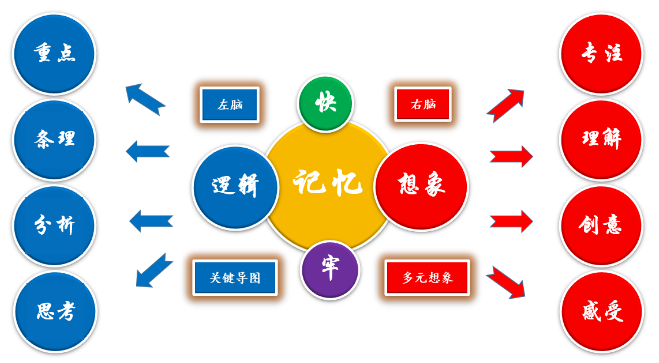 增强记忆力的9个简单方法