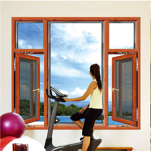 广西铝合金纱窗厂家|庭院美超凡脱俗|性价比高