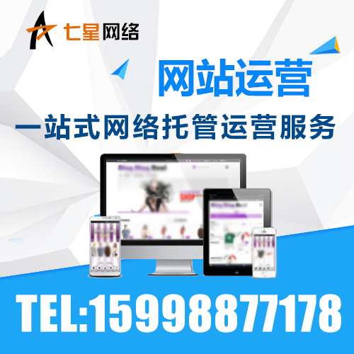 网站运营
