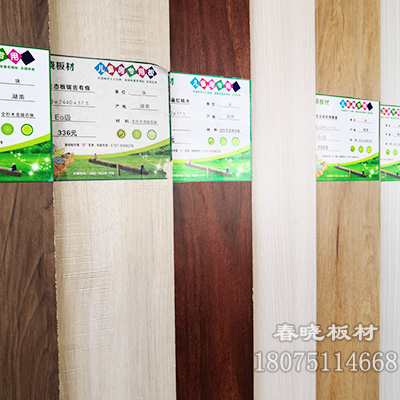 环保板材排名_衣柜板材十大品牌排名(2)