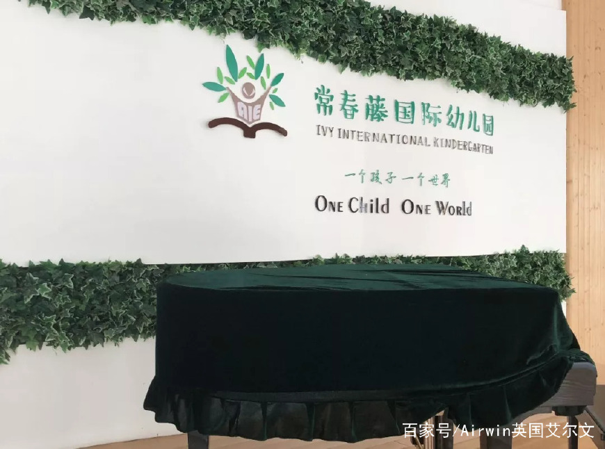 用户回访丨常春藤国际幼儿园:一个孩子,一个世界