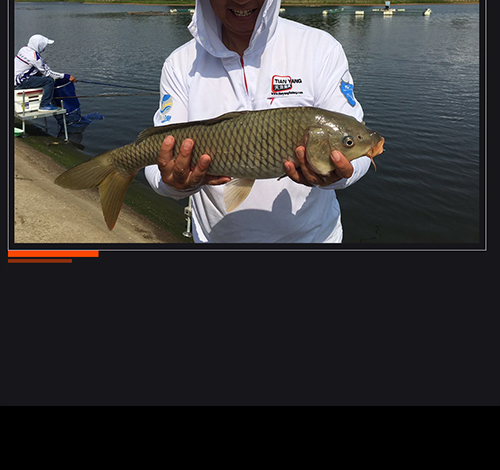 精品鱼竿醉池国际爽钓二号