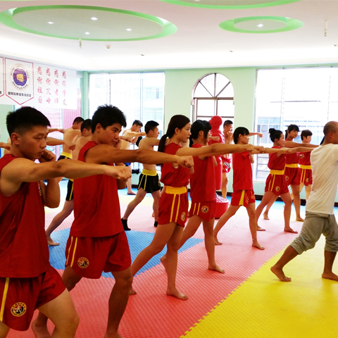 成人散打**课程