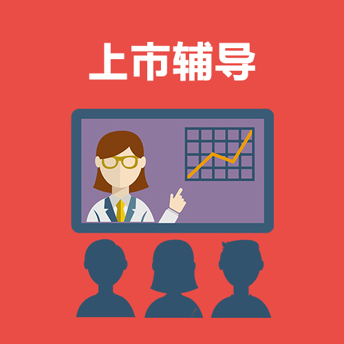 上市辅导