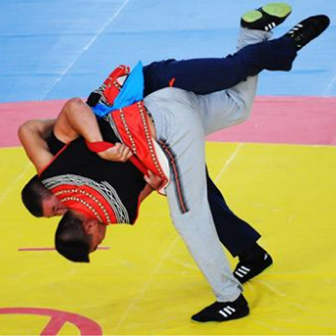 套路-武术的皮囊