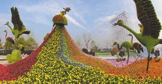 绿雕怎么养护你都知道吗?