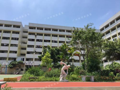 联系电话 公司地址:南沙区金涌街156号英红培训学校教学