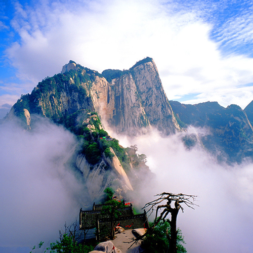 华山一日游d(含进山车,索道西上北下)