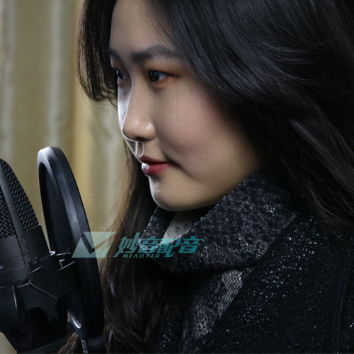 东莞产品配音报价_济南妙音