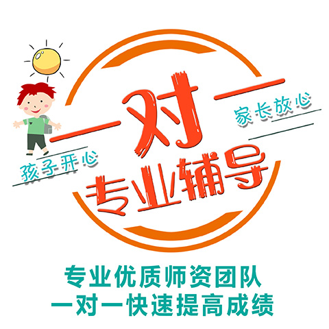大成教育 一对一专业辅导