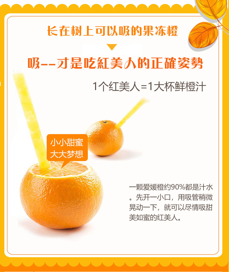 爱媛树苗贵不贵,象山红美人小树苗,象山红美人小树苗